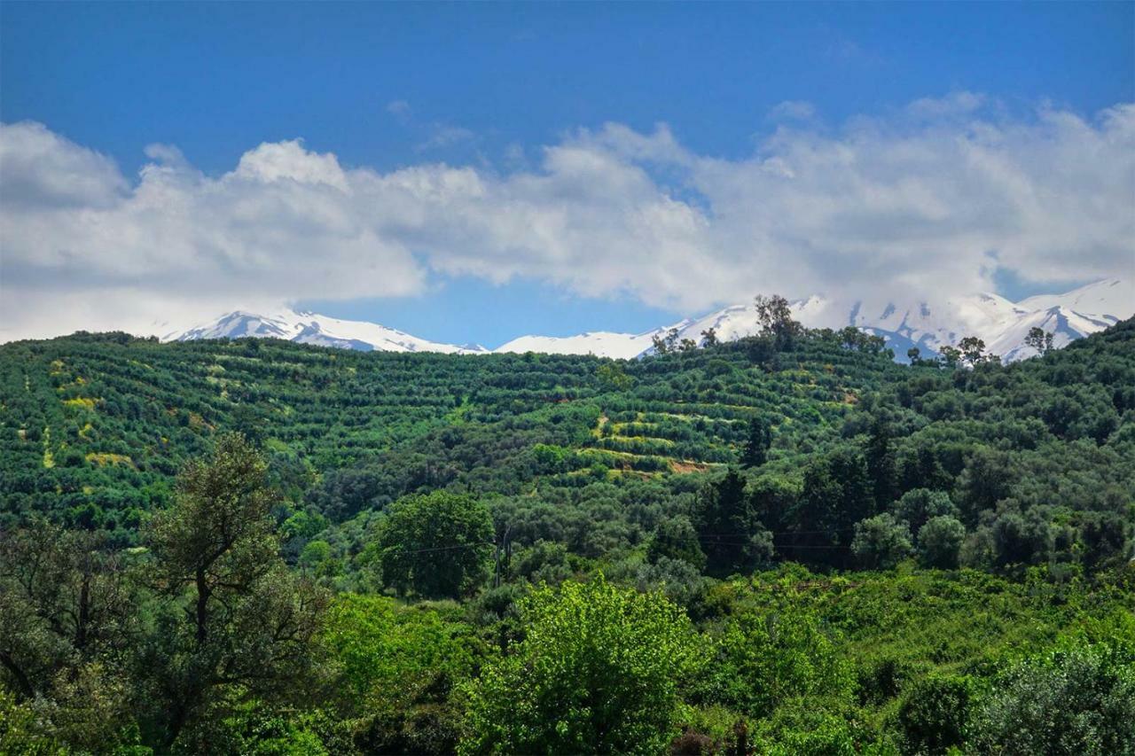 Anthos Village Agia  Dış mekan fotoğraf